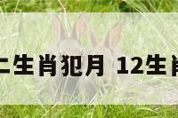 北方十二生肖犯月 12生肖犯月表