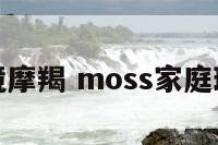 家庭环境摩羯 moss家庭环境量表