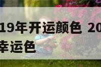 属牛的2019年开运颜色 2021年属牛的是什么幸运色