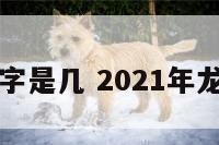 龙的吉利数字是几 2021年龙的吉祥数字