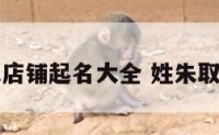 姓朱店铺起名大全 姓朱取店名