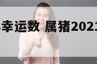 属猪2018幸运数 属猪2021的幸运数字