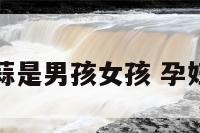 孕妇梦见蒜是男孩女孩 孕妇梦见蒜台
