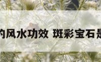 斑彩宝石的风水功效 斑彩宝石是什么材质