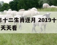 2019年十二生肖逐月 2019十二月生肖运势天天看