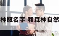 给大自然森林取名字 和森林自然有关的名字