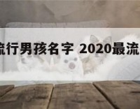 2016流行男孩名字 2020最流行男孩名