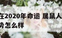 属鼠人在2020年命运 属鼠人在2020年的运势怎么样