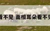 面相耳朵看不见 面相耳朵看不见怎么回事