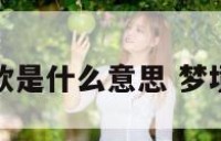 梦境款是什么意思 梦境品牌
