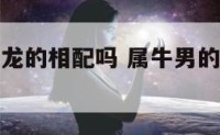 男属牛和属龙的相配吗 属牛男的和属龙女的相配吗