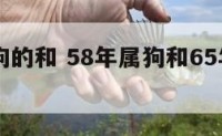 58年属狗的和 58年属狗和65年属蛇的婚姻