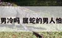 属蛇男冷吗 属蛇的男人怕冷吗