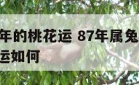 属兔87年的桃花运 87年属兔的2021年桃花运如何