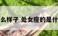 处女座什么样子 处女座的是什么样的人