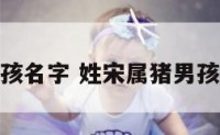 姓宋属猪男孩名字 姓宋属猪男孩名字怎么取