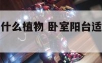 卧室阳台放什么植物 卧室阳台适合种什么植物