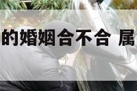 属鼠的跟属鼠的婚姻合不合 属鼠和属鼠和婚吗