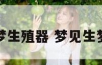 周公解梦梦生殖器 梦见生梦见生殖嚣