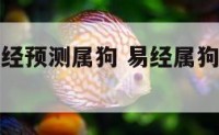 2018易经预测属狗 易经属狗2021年运势