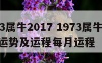 1973属牛2017 1973属牛2025年运势及运程每月运程