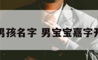 嘉字开头男孩名字 男宝宝嘉字开头的名字
