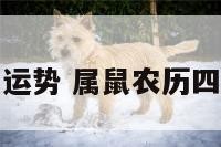 属鼠农历四月运势 属鼠农历四月运势怎么样