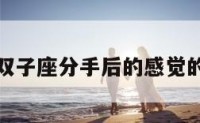 包含双子座分手后的感觉的词条