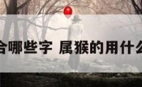 属猴的适合哪些字 属猴的用什么字比较好