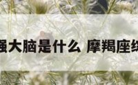 摩羯座最强大脑是什么 摩羯座综合实力强