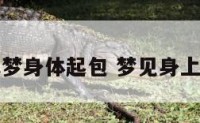 周公解梦身体起包 梦见身上起小包