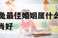 l999年属兔最佳婚姻属什么 999年的兔子配生肖好