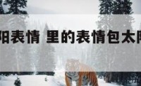 qq昵称太阳表情 里的表情包太阳是什么意思