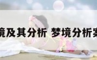 梦境及其分析 梦境分析案例