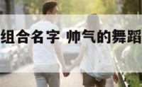 帅气的舞蹈组合名字 帅气的舞蹈组合名字大全