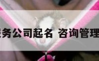 管理咨询服务公司起名 咨询管理类公司起名