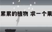 好看又果实累累的植物 求一个果实累累的名字
