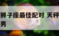 天秤座上升狮子座最佳配对 天秤座上升狮子座最佳配对男