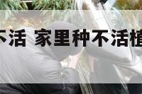 庭院种植物不活 家里种不活植物 是好还是不好