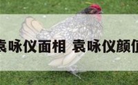 袁咏仪面相 袁咏仪颜值