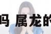 属龙的人能养猪吗 属龙的人养猪会顺利吗