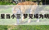 梦见给明星当小三 梦见成为明星的小三