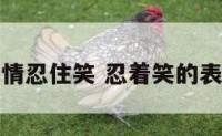 表情忍住笑 忍着笑的表情