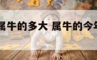 2010年属牛的多大 属牛的今年多大2010