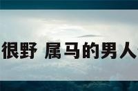 属马的男人很野 属马的男人性格好不好