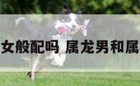 属龙男属龙女般配吗 属龙男和属龙女合不合