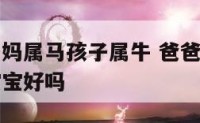 爸爸属牛妈妈属马孩子属牛 爸爸属牛妈妈属马生个牛宝宝好吗