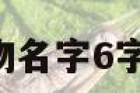 武侠游戏人物名字6字 武侠人物id