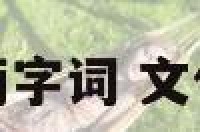 文化内涵两字词 文化内涵成语