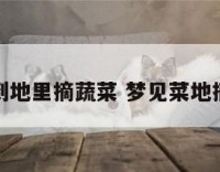 梦到地里摘蔬菜 梦见菜地摘菜